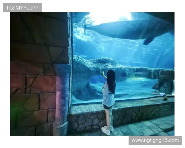 爱鱼直播：畅游水族世界的精彩每一刻